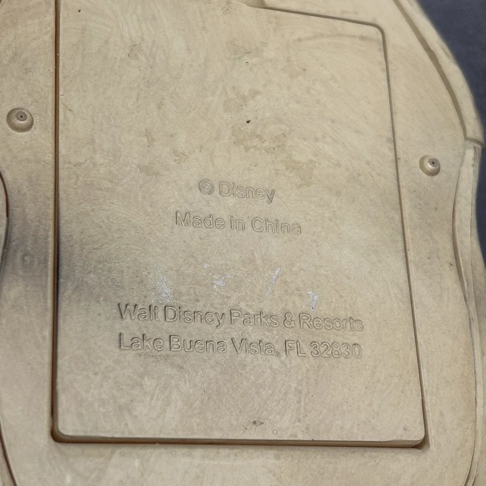 Disney parks pirates